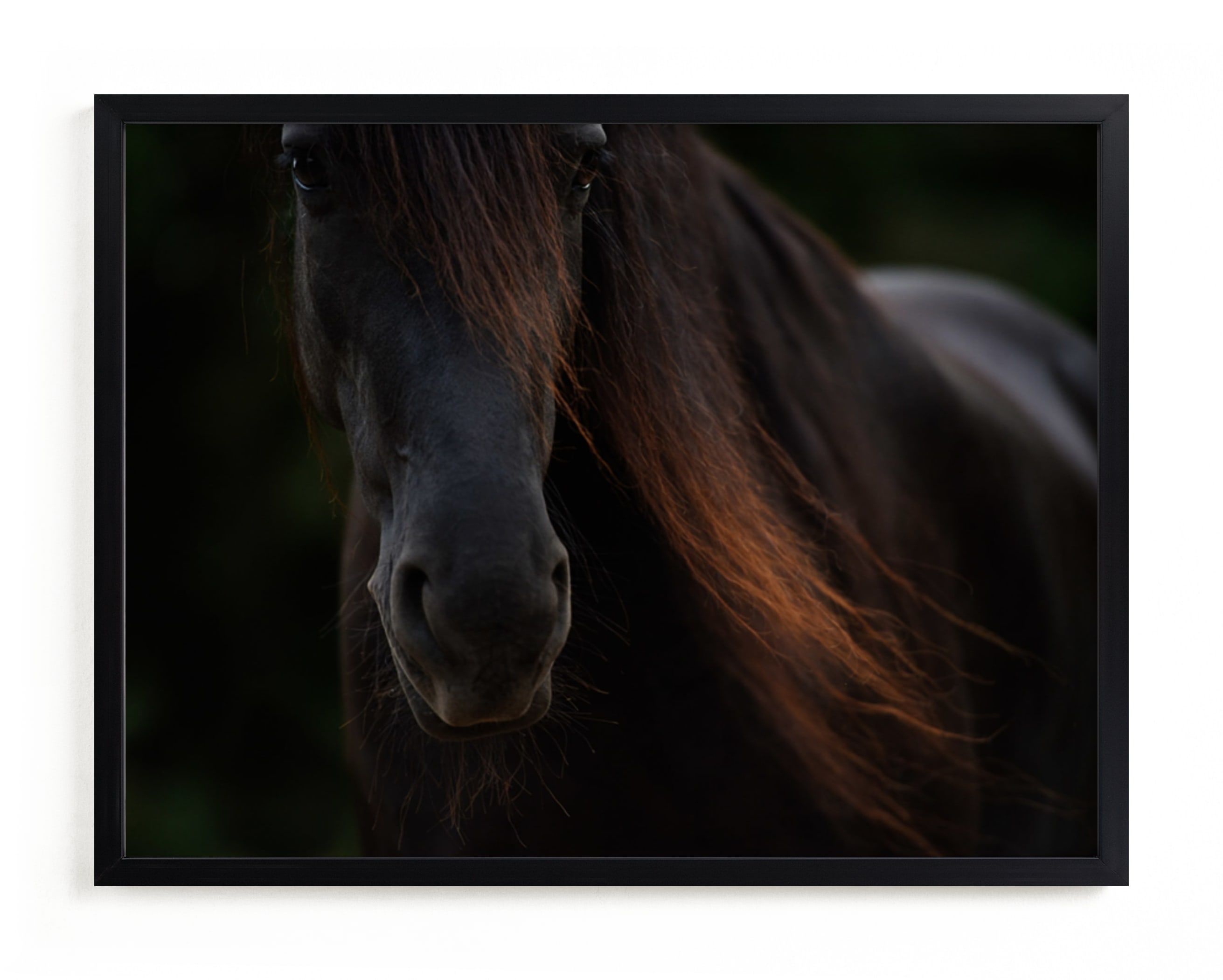 "Rocinante" - Photography Limited Edition Art Print by Amy Carroll. | Minted