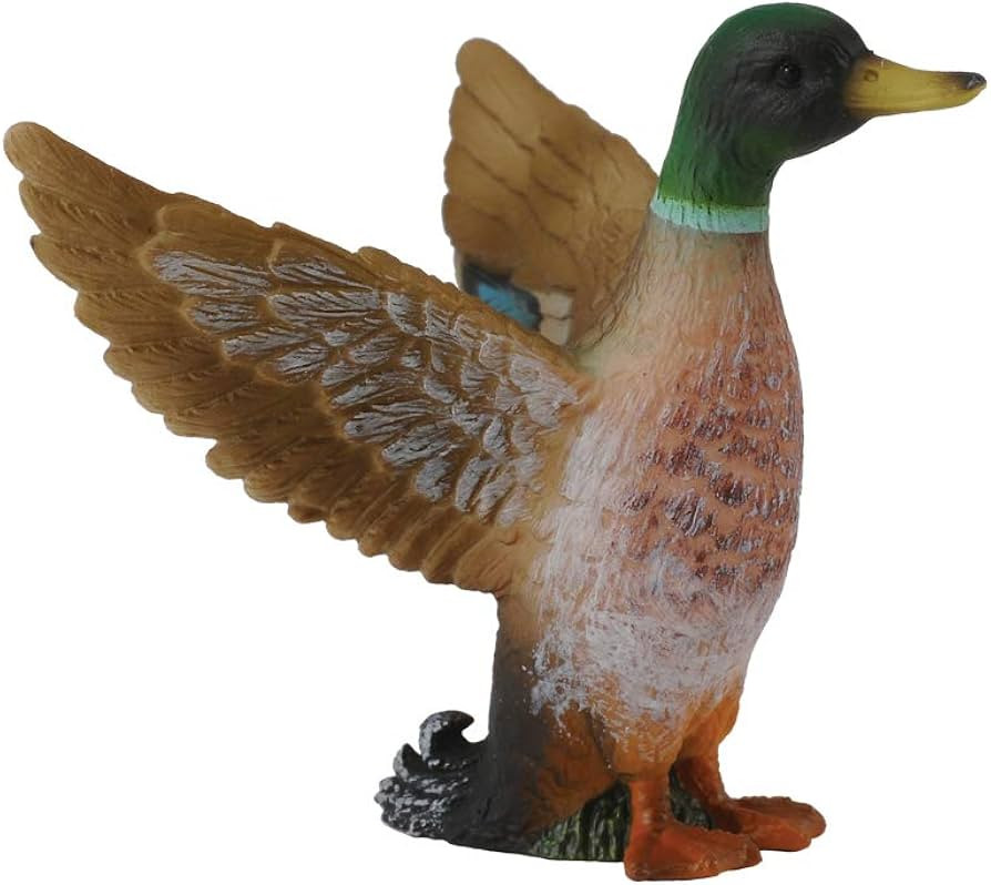 CollectA Male Mallard Duck | Amazon (US)