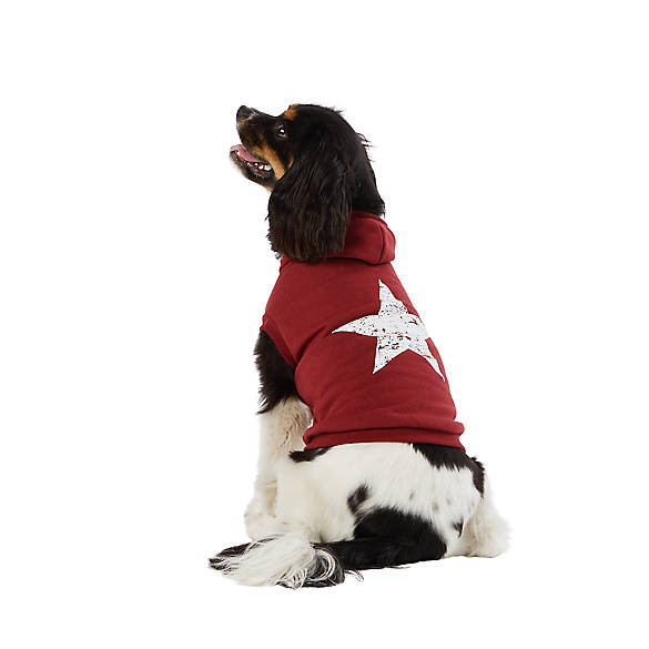 Top Paw® Red Star Hooded Pet Sweatshirt | PetSmart