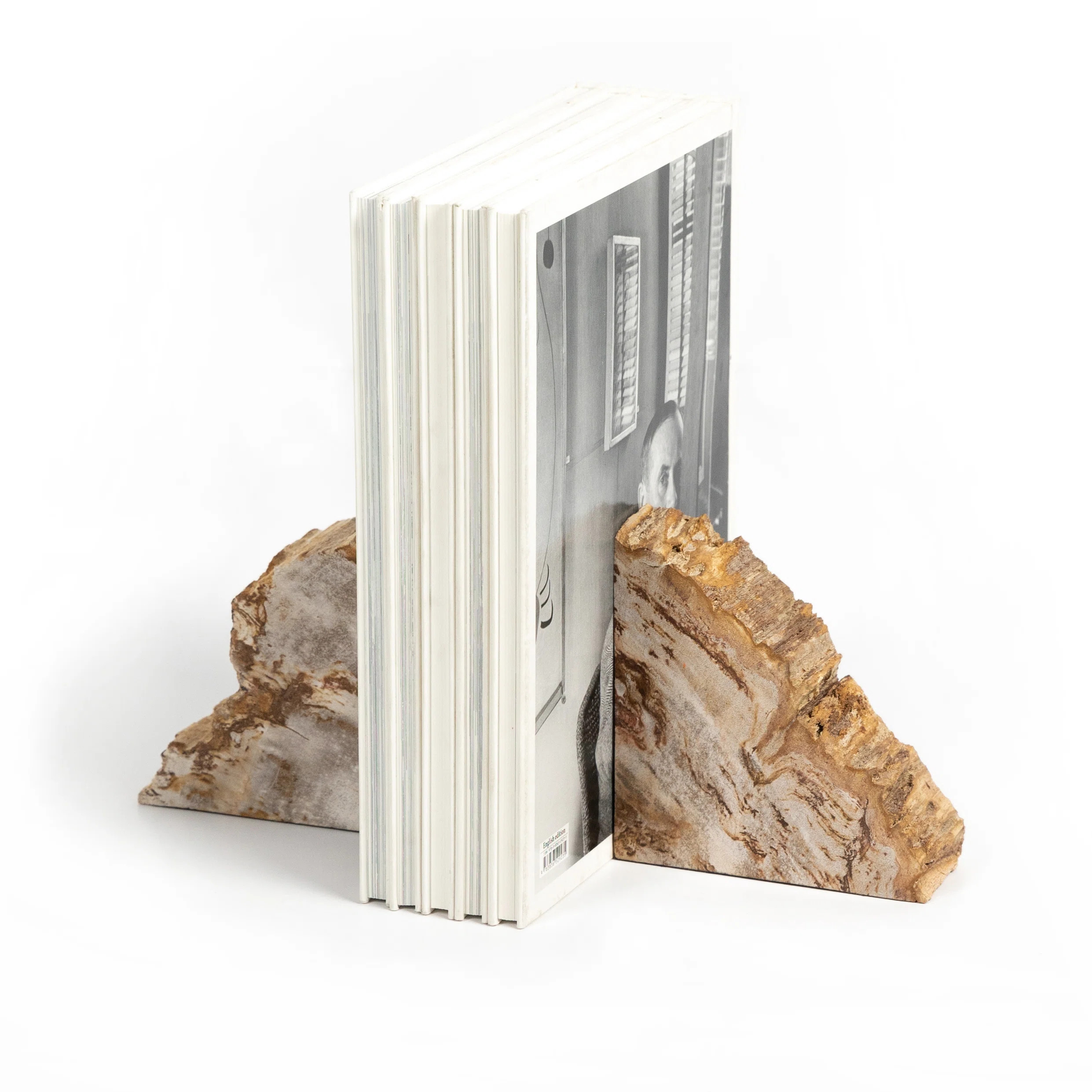 Petrified 2 Piece Wood Book End Set | Perigold