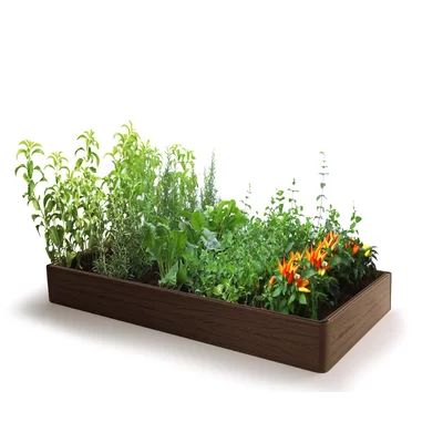 Freeport Park Brinker 2 ft x 4 ft Composite Wood Raised Garden | Wayfair North America