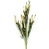 Artificial Small Mini Cattail Bloom Silk Stems, Tan, arrangements,tall vase, home decor, office, ... | Amazon (US)