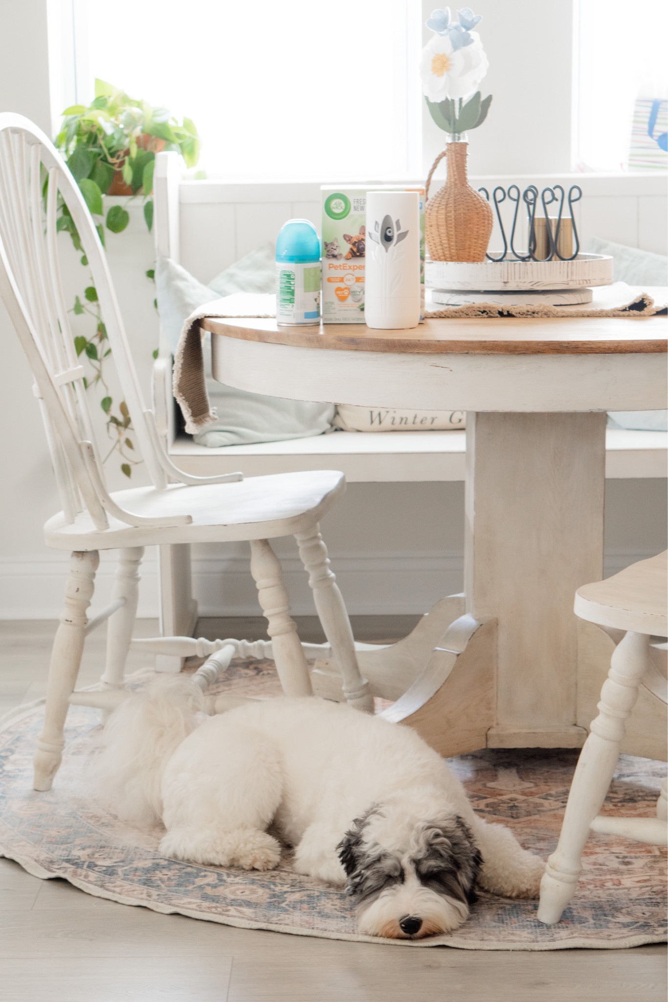 Easiest way to refresh your spaces. Pet approved. Vet checked. Buy @airwickus at @target 

#ad #target #targetpartner #airwickus #petrefresh

#LTKstyletip #LTKhome