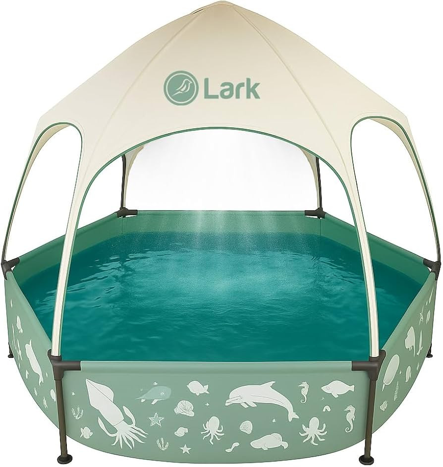 Lark 8' x 20" Metal Frame Pool with Canopy - UV Resistant Sunshade Canopy, Sprinkler Shower with ... | Amazon (US)