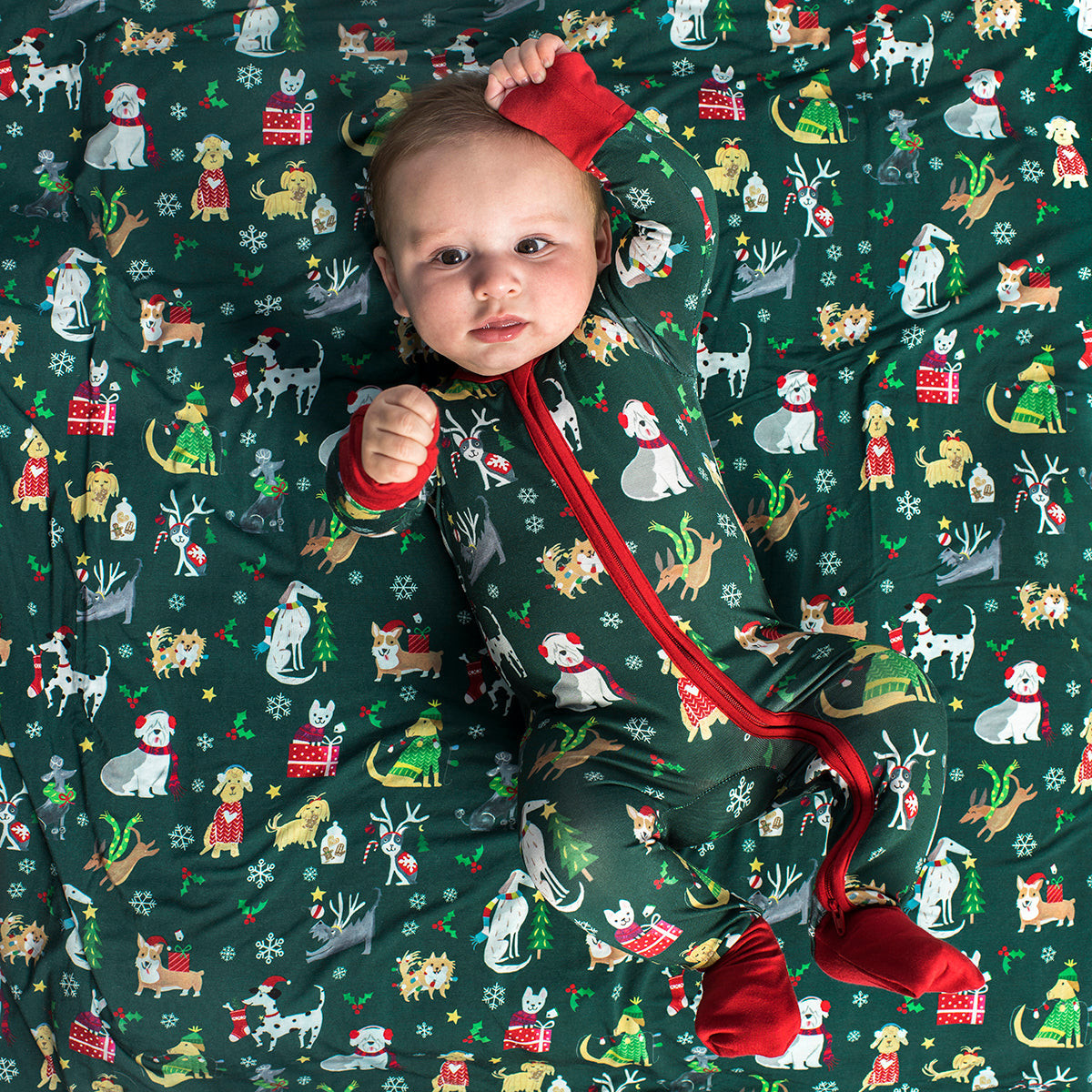 Holiday Hounds Bamboo Viscose Zippy | Little Sleepies