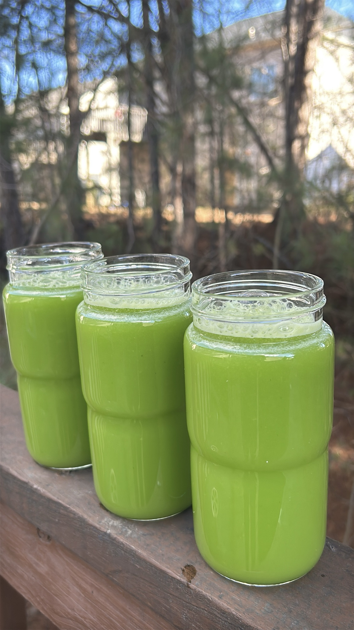 If you want to actually stick to juicing, the right juicer matters more than people realize 🥕💚
Less prep, smoother juice, and faster clean-up means you’ll actually use it — not let it sit on the counter.
I added my favorite juicer to LTK so you can upgrade your routine the easy way.

#juicingdaily #juicerfavorites #healthyathome #wellnessjourney #juiceprep #kitchenmusthaves #LTKhome #LTKfinds #LTKsale #shoppingmusthaves #onlineshopping #healthyinspo #selfcaretools #ShoppingWithPriiincesss #Atlantamom #Atlantabloggers #Atlantablogger #AtlantaCreator #Atlantacontentcreators #Atlantacontentcreator

#LTKfitnessgoals #LTKGiftGuide #LTKHoliday