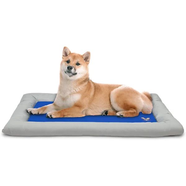 Dog Self Cooling Travel Dog Beds | Wayfair North America