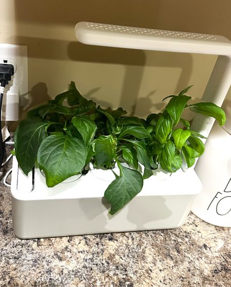 Great gift idea! Indoor self-watering garden for people who don’t have access to an at-home garden or generally suck at watering/caring for plants! 

#LTKhome #LTKFind #LTKxNSale