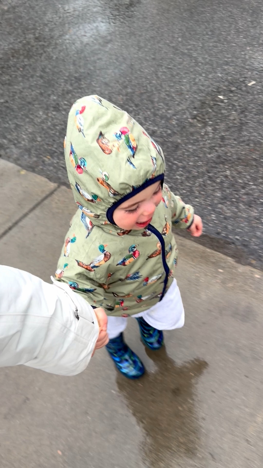 Malcolm’s jacket on sale! 🦆 

#LTKdayinmylife #LTKmomlife #LTKKids