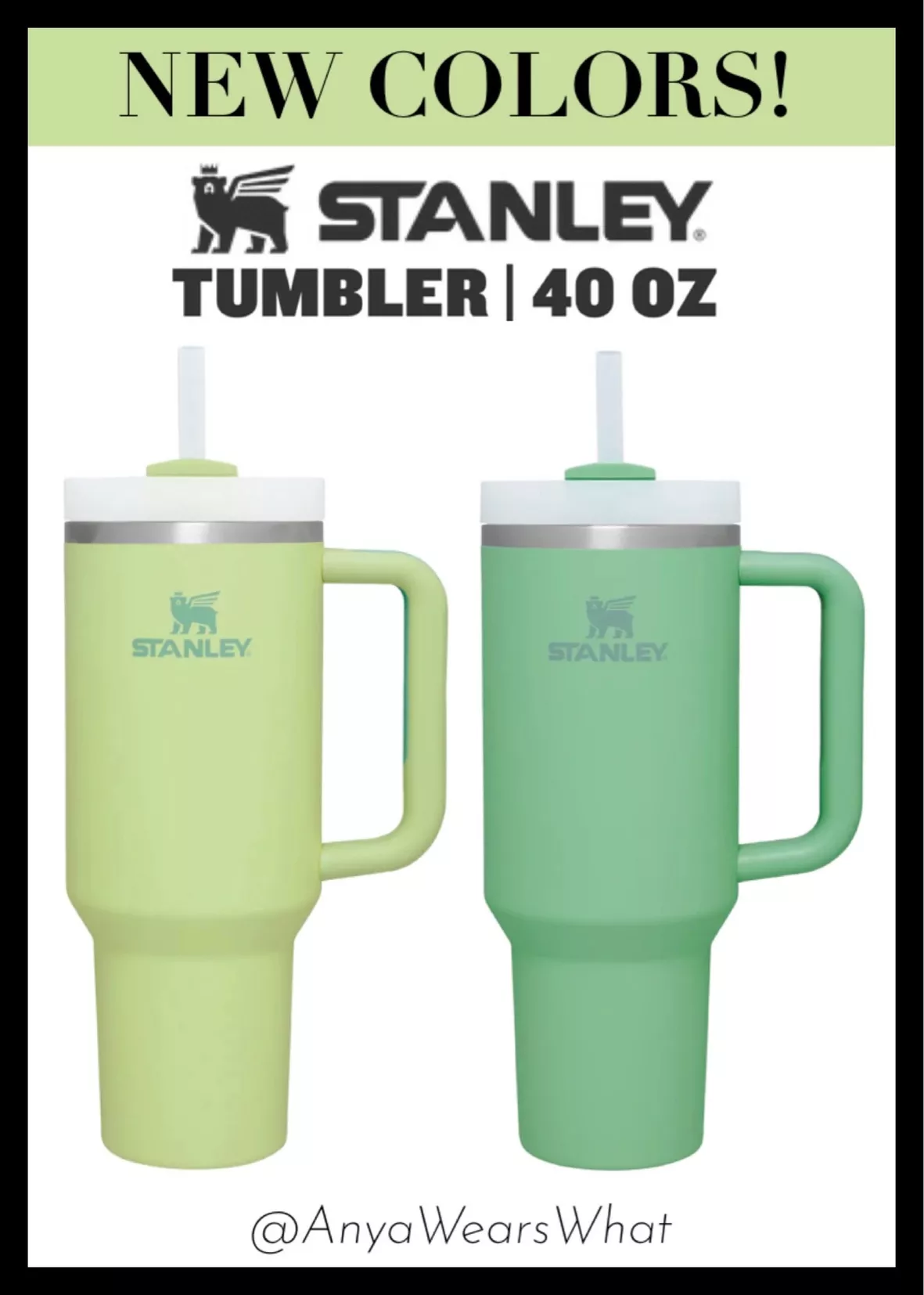 absolutely love my new stanley! stanley in Jade #stanley #stanleycup #