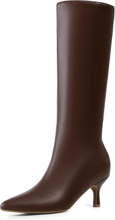 DREAM PAIRS Women's Knee High Kitten Heel Boots Sexy Pointed Toe Fashion Long Tall Boots | Amazon (US)