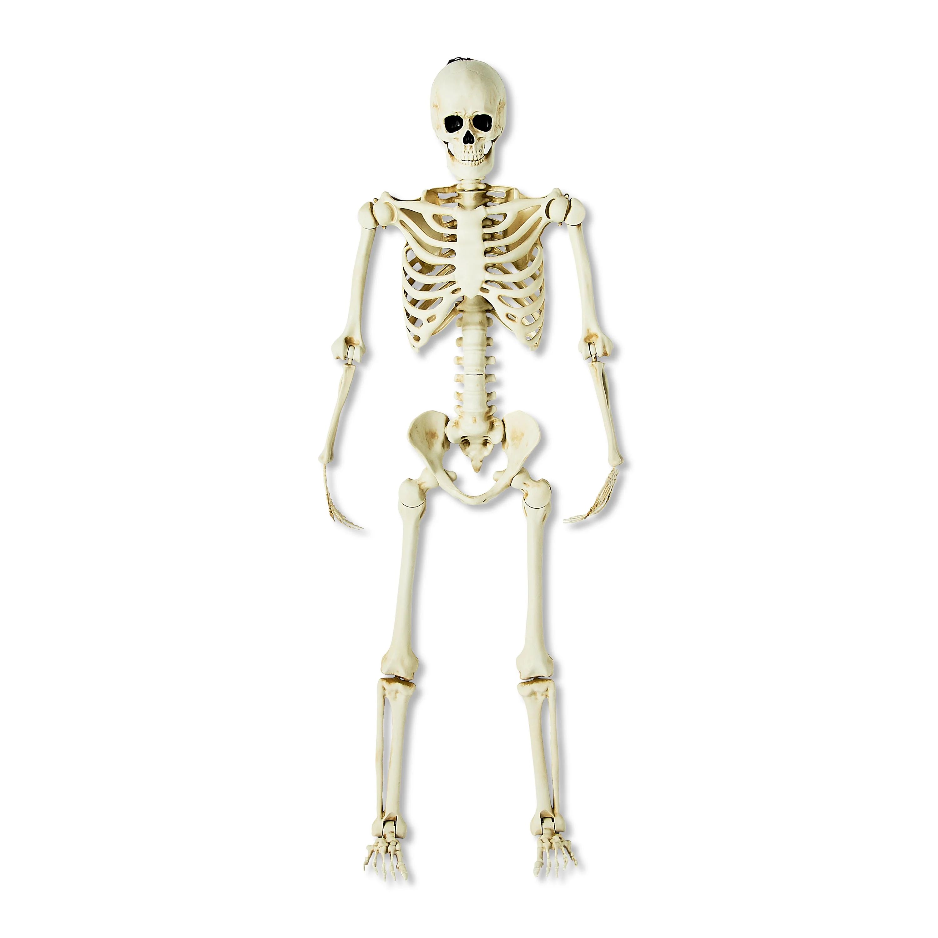 Halloween 5' Poseable Skeleton Outdoor Decoration by Way To Celebrate | Walmart (US)