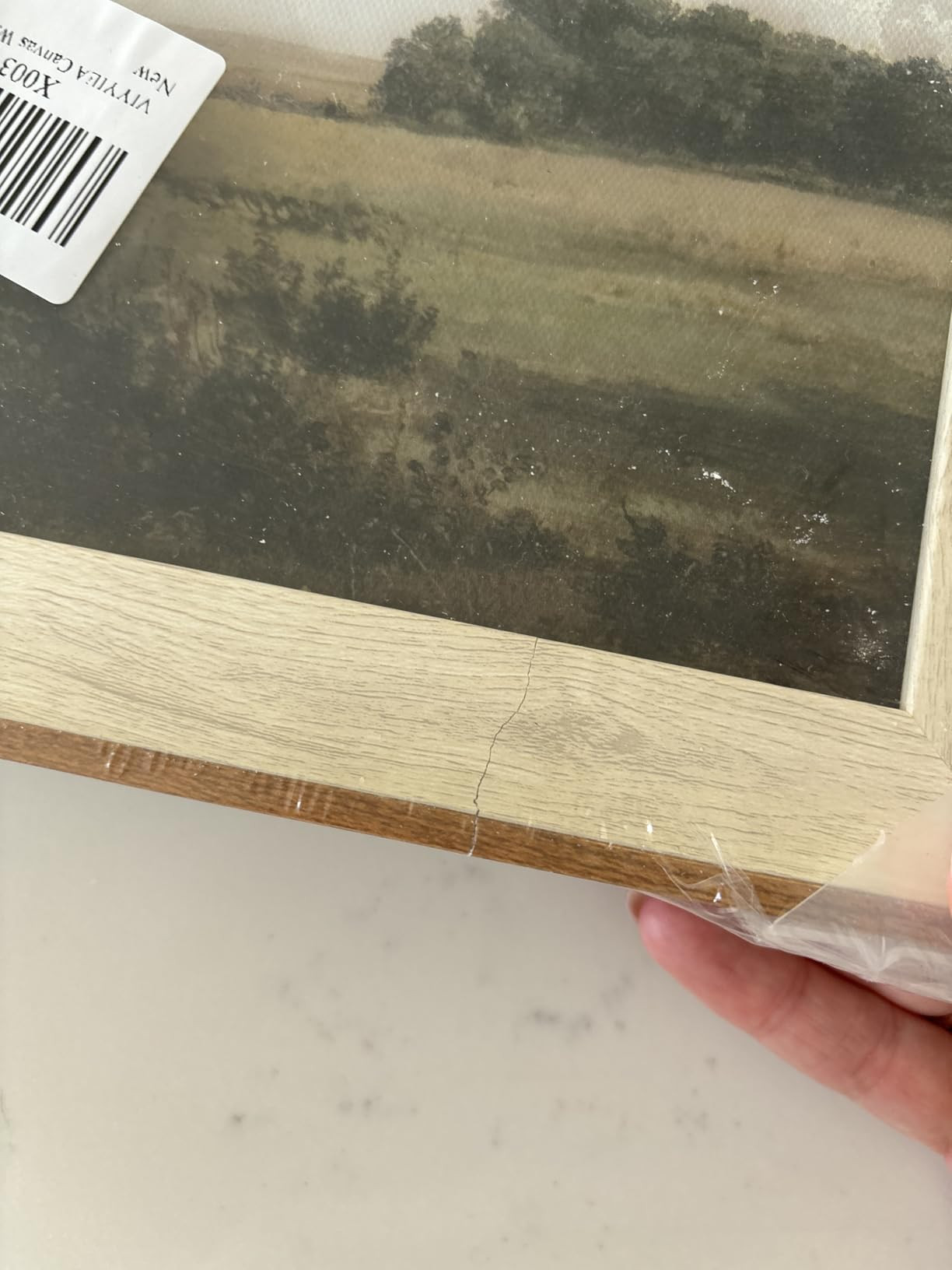 VIYYIEA Framed Wall Art for Living Room, Natural Canvas Prints, Vintage Home Decor, Flowers Paint... | Amazon (CA)