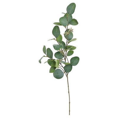 Silver Dollar Eucalyptus Spray Stem | Wayfair North America