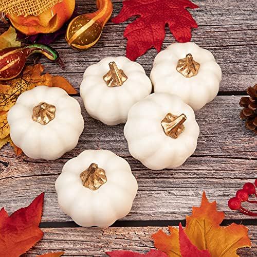 White Mini Gold Pumpkins | Amazon (US)