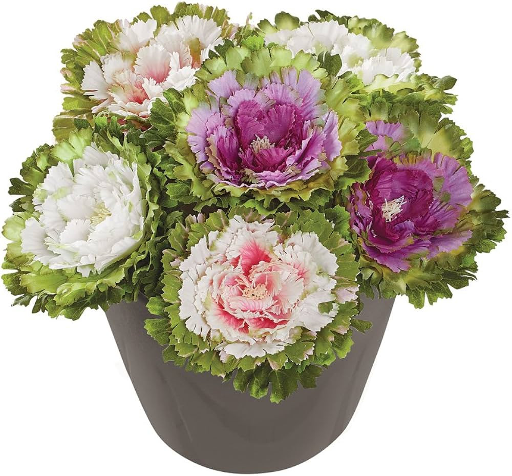 Collections Etc Artificial Faux Cabbage Rose Flower Stems, Multicolor (2 Each Purple, Pink and Wh... | Amazon (US)