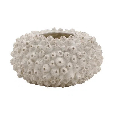 Reef Bloom Coral Bowl | Wayfair North America