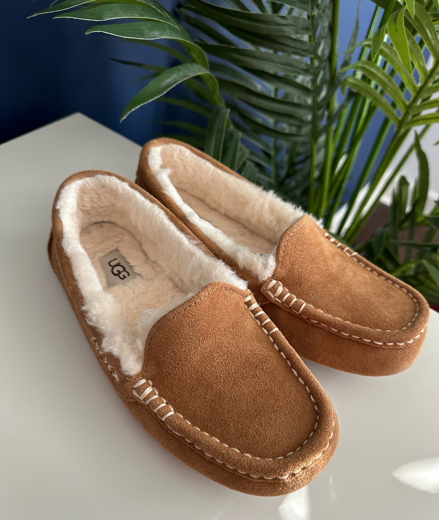 靴 UGG / Ansley UGG® Ansley Parc for Women | UGG®