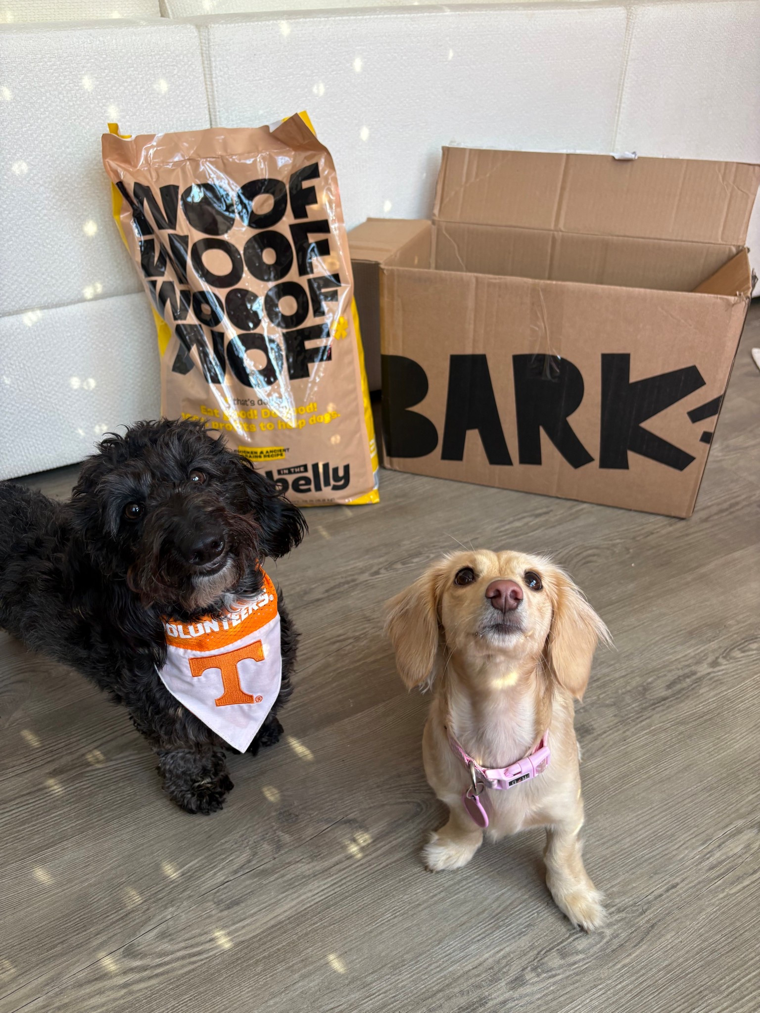 Introducing the brand new co-owned dog food! Bark in the belly! My dogs love it for so many reason, such as real chicken in the #1 ingredient, helps with their digestive system, hip and joints, immune system, and much more! 🐾🤍 #barkpartner #ad #shopdog #barkcoowned #liketkit @bark