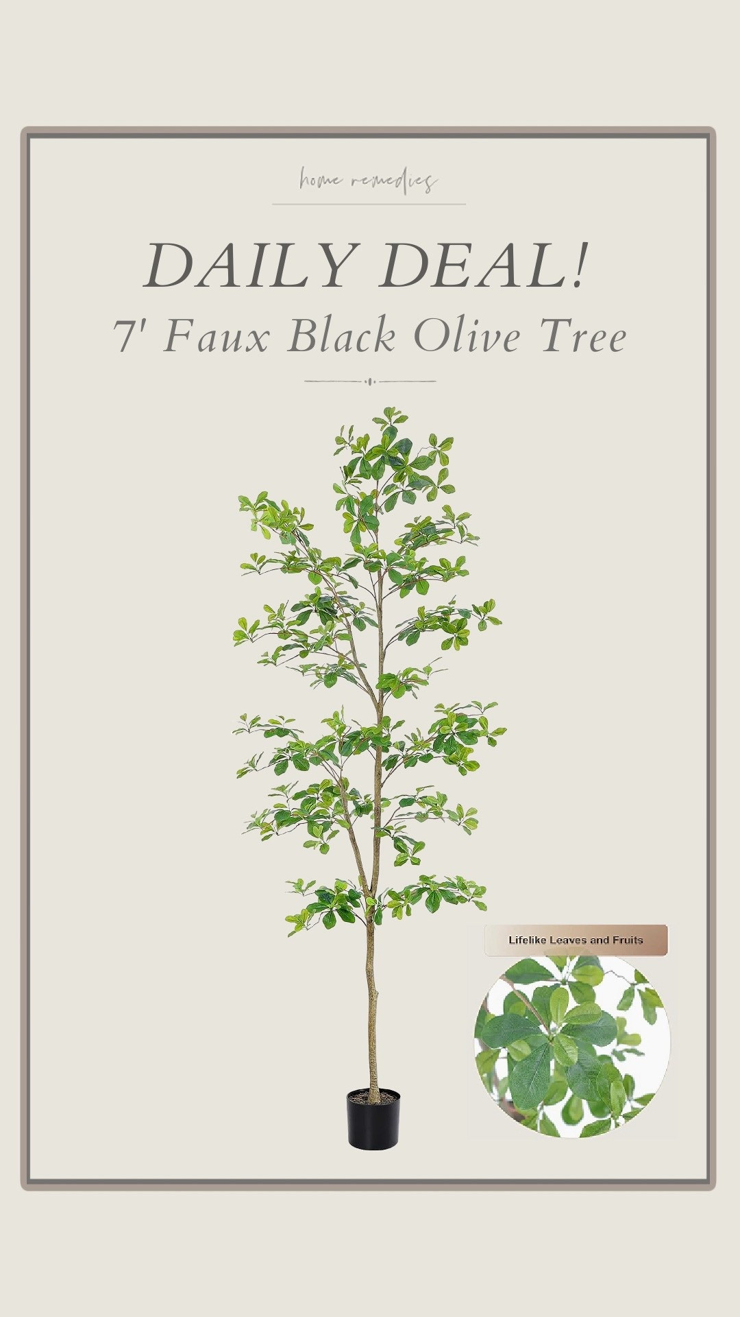 This 7 foot tall black olive tree is absolutely gorgeous- and you won't believe the price! faux foliage, modern organic, vintage, cottage core, traditional, traditional, living room, family room, home office, den, entryway, dining room, kitchen, guest room

#LTKHome #LTKSeasonal #LTKStyleTip
