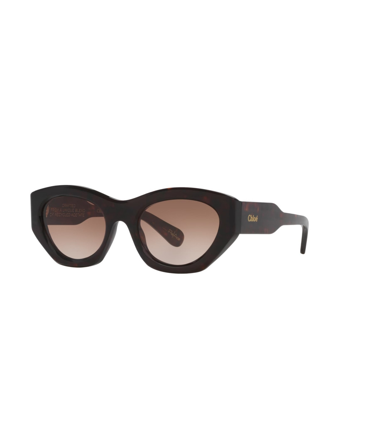 Chloe Women's Cat Eye Sunglasses, CH0220S 6N000523 - Tortoise Light | Macy's