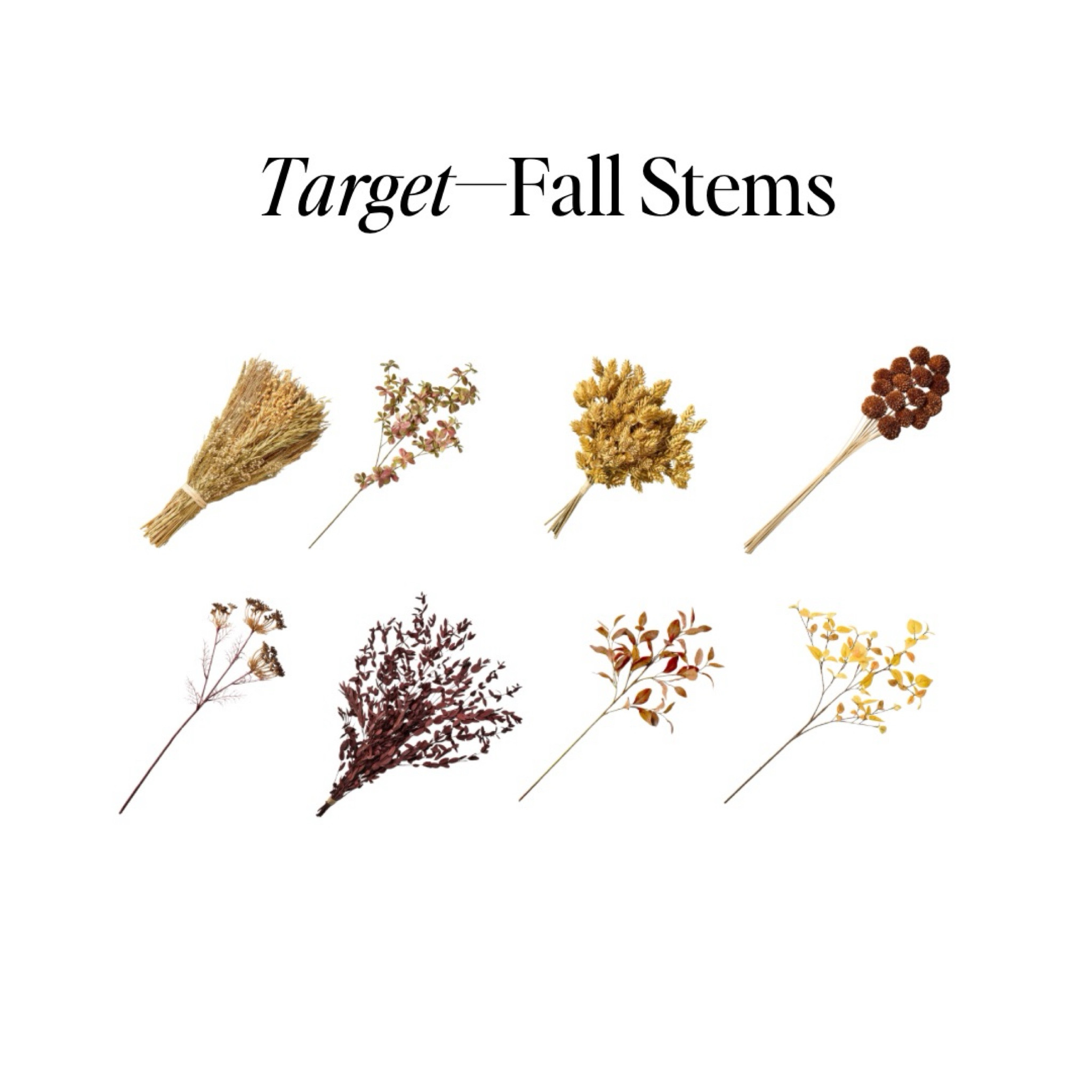 Need help picking the perfect stems for fall? 🍂 Let me guide you through choosing natural, earthy tones inspired by the beauty of the season! Say goodbye to unrealistic colors and hello to nature's palette. 🌾✨ #FallDecor #NaturalVibes #AutumnInspo #InteriorDesignTips
