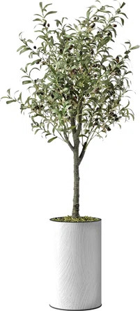 Artificial Tree In Modern Planter, Fake Olive Silk Tree Home Decoration (Plant Pot Plus Tree) | Wayfair North America