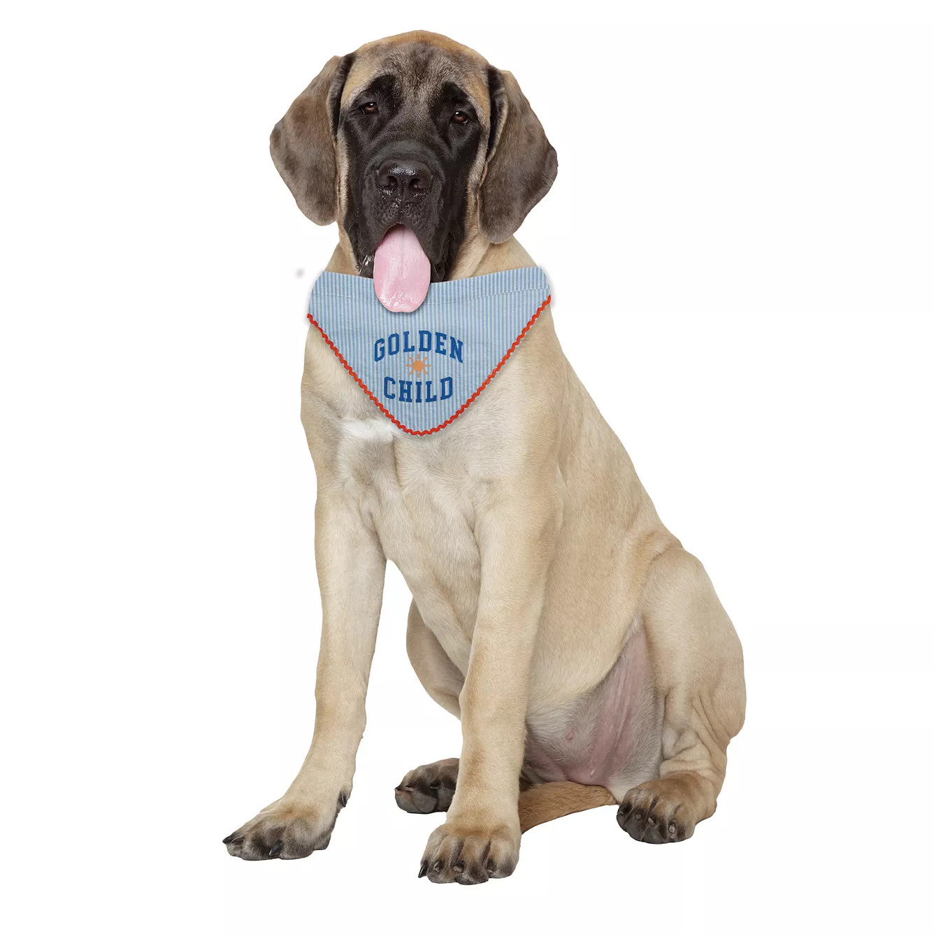 WOOF\u00ae Golden Child Pet Bandana | Kohl's