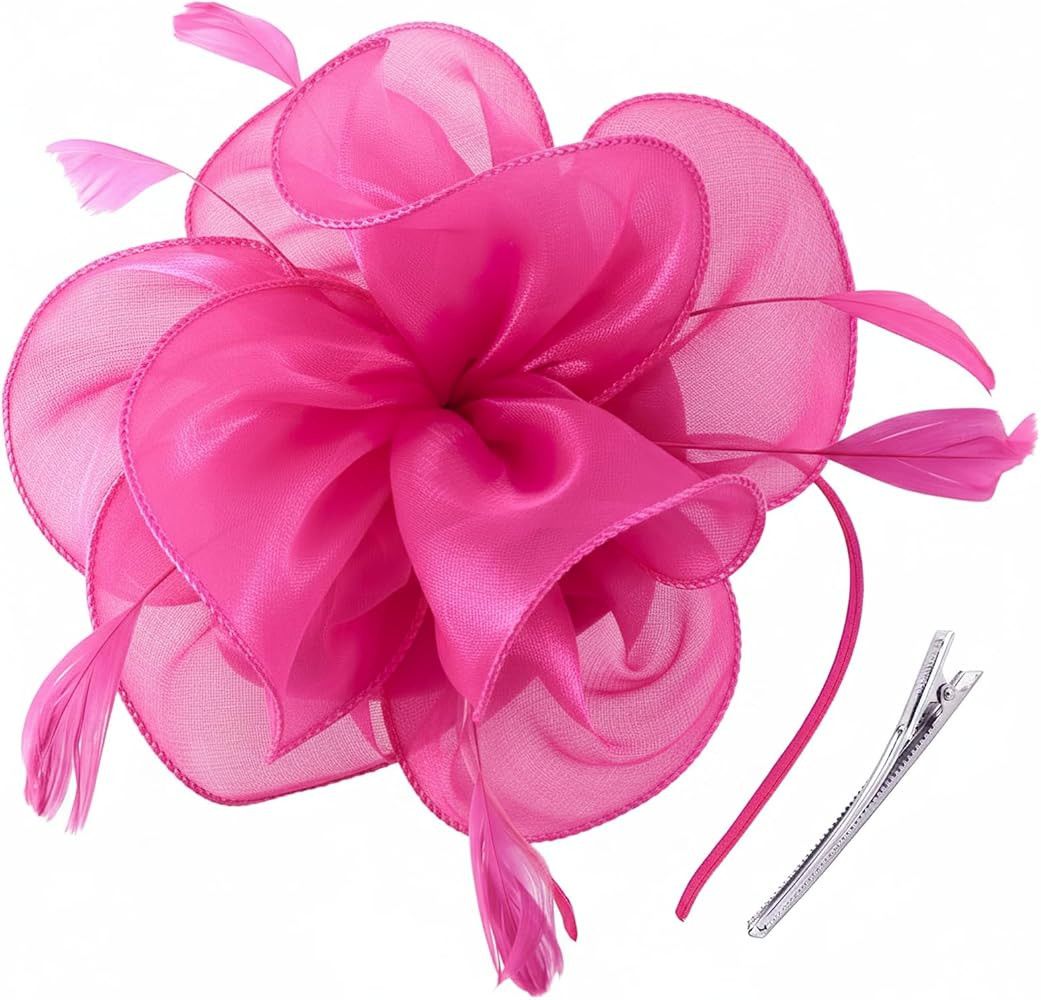 DRESHOW Fascinators Hat Tea Party Headwear Ribbons Feathers on a Headband and a Clip for Women | Amazon (US)