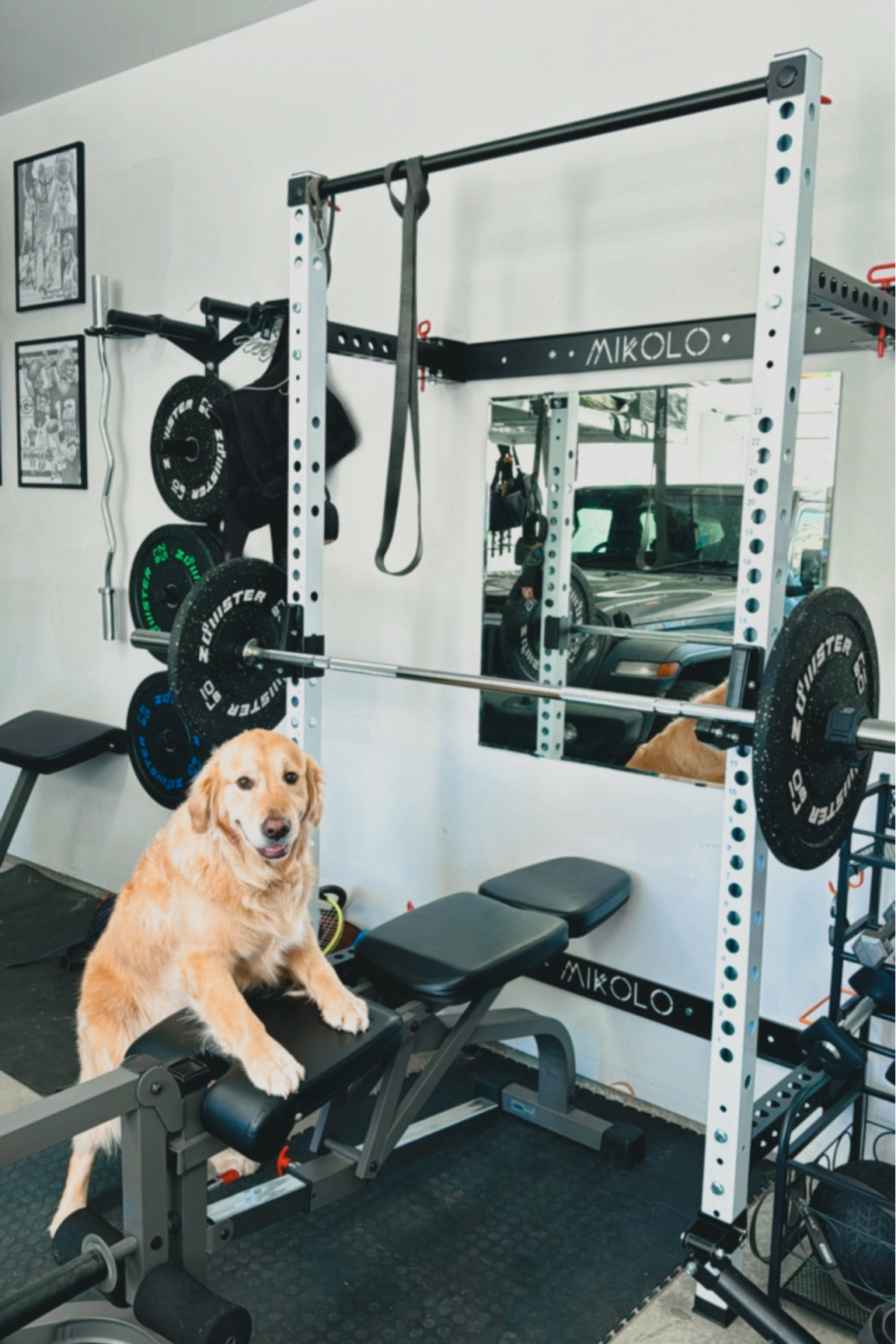 The perfect home gym set up! Best part is  the rack folds up to the wall for smaller spaces! 🏋🏼‍♀️

#LTKActive #LTKSummerSales #LTKHome