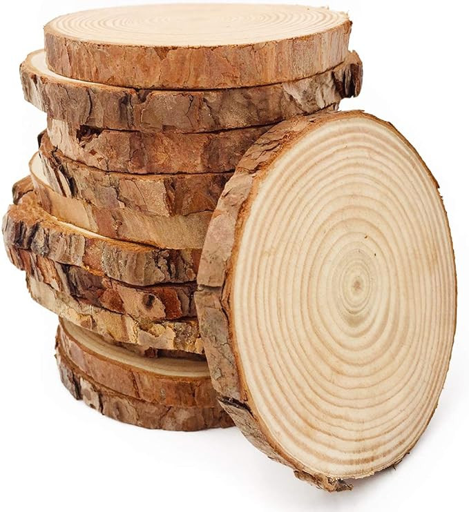 Unfinished Natural Wood Slices 12 Pcs 3.5-4 inch Craft Wood kit Circles Crafts Christmas Ornament... | Amazon (US)
