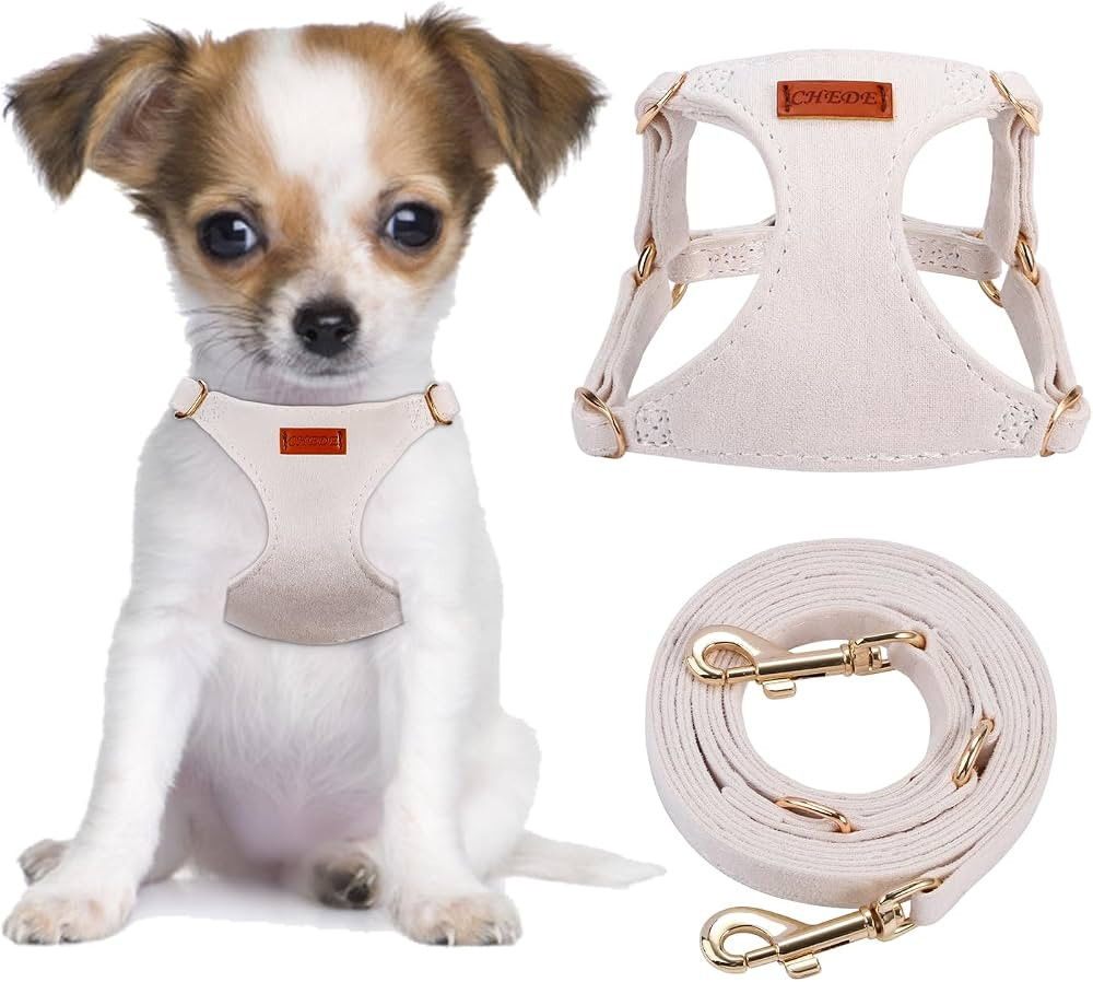 CHEDE No Pull Puppy Harness and Multifunction Dog Leash Set- 8 Colors Soft Adjustable No Choke Es... | Amazon (US)