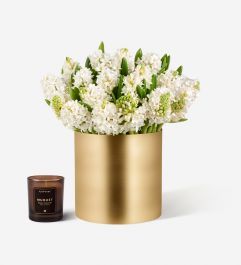 Cream Puff White Hyacinth | FLOWERBX