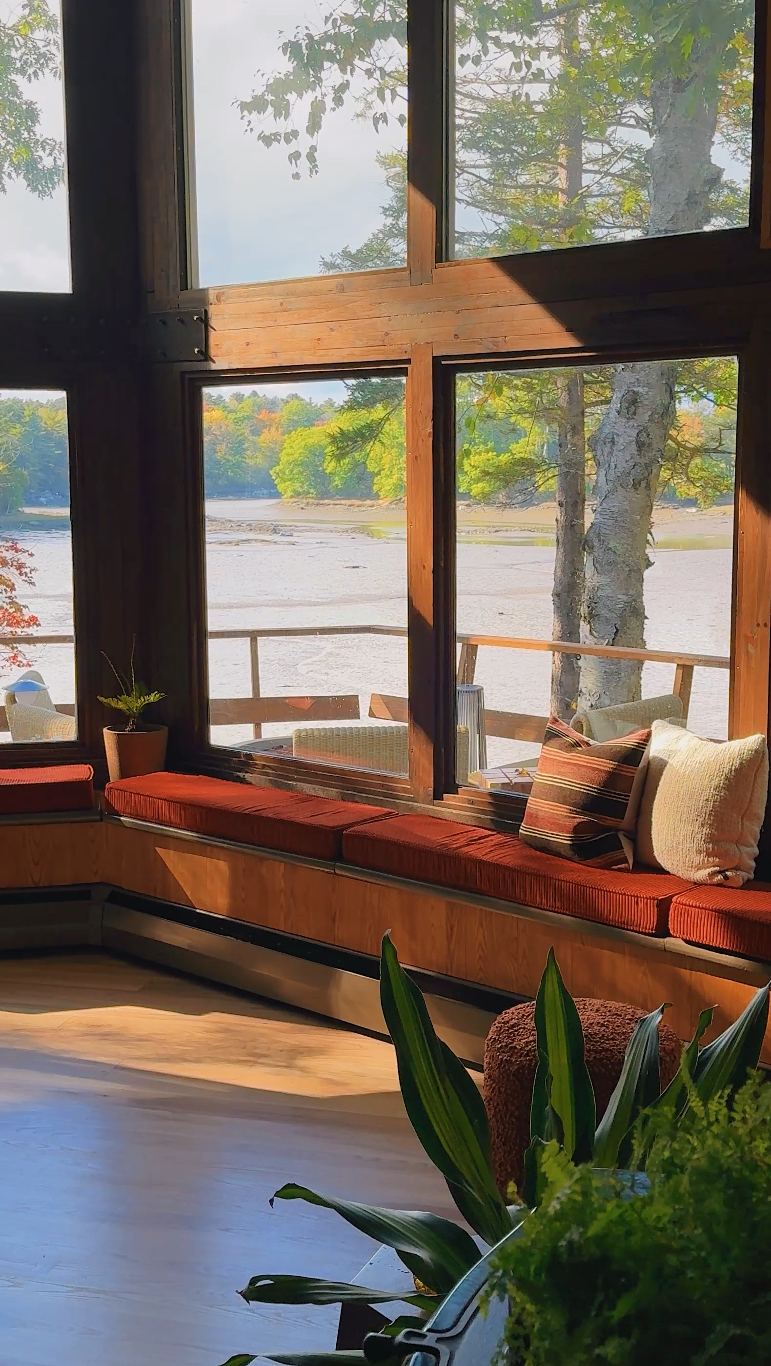 Our new morning view from the living room in Maine. We took a risk with the color of these cushions, but they pull this angle of the room together perfectly  

#LTKSaleAlert #LTKSeasonal #LTKHome