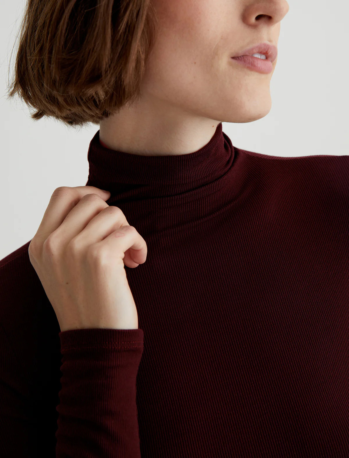 Chels Turtleneck | AG Jeans