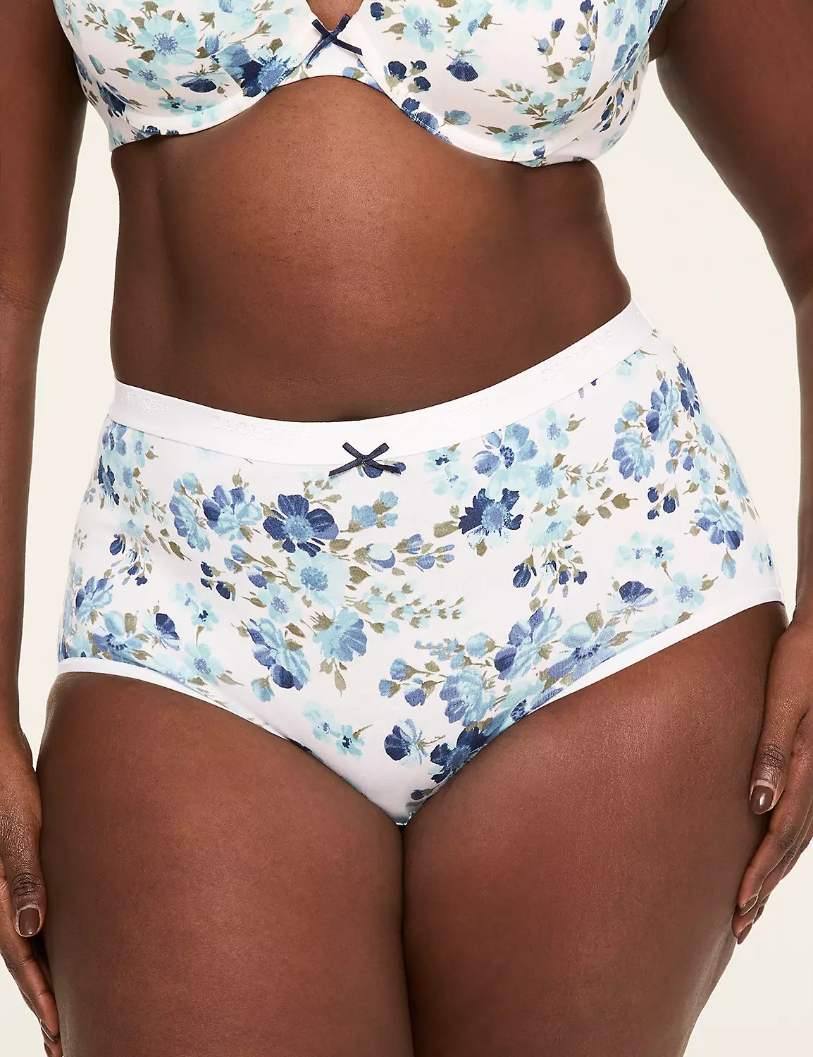 Cotton Full Brief Panty | Lane Bryant (US)