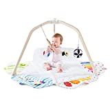 The Play Gym by Lovevery; Stage-Based Developmental Activity Gym & Play Mat for Baby to Toddler | Amazon (US)