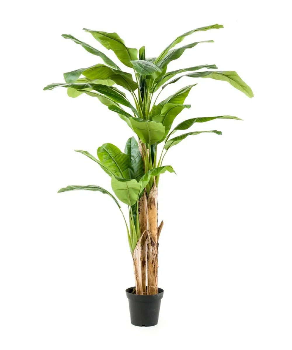 89'' Faux Banana Leaf Tree in Pot Liner | Wayfair North America