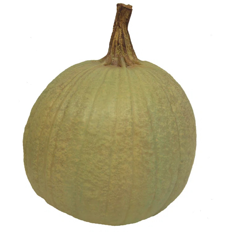 Medium Pumpkin Figurine | Wayfair North America