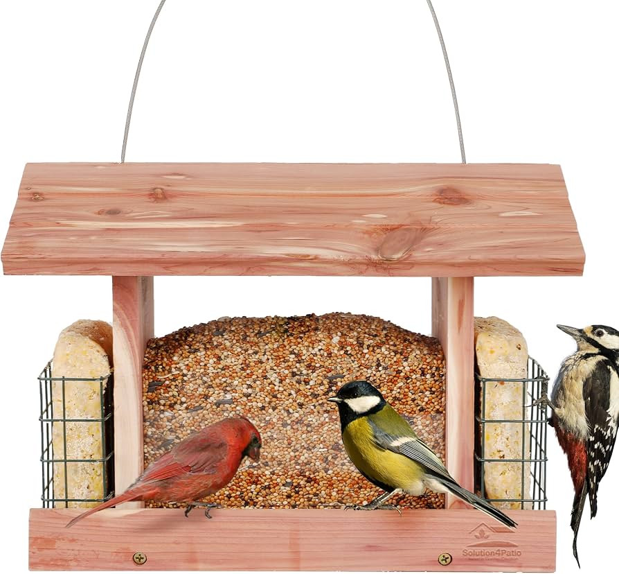 Solution4Patio Homes Garden USA Cedar Hopper Bird Feeder Wildbird Essentials Handmade Wooden Ranc... | Amazon (US)