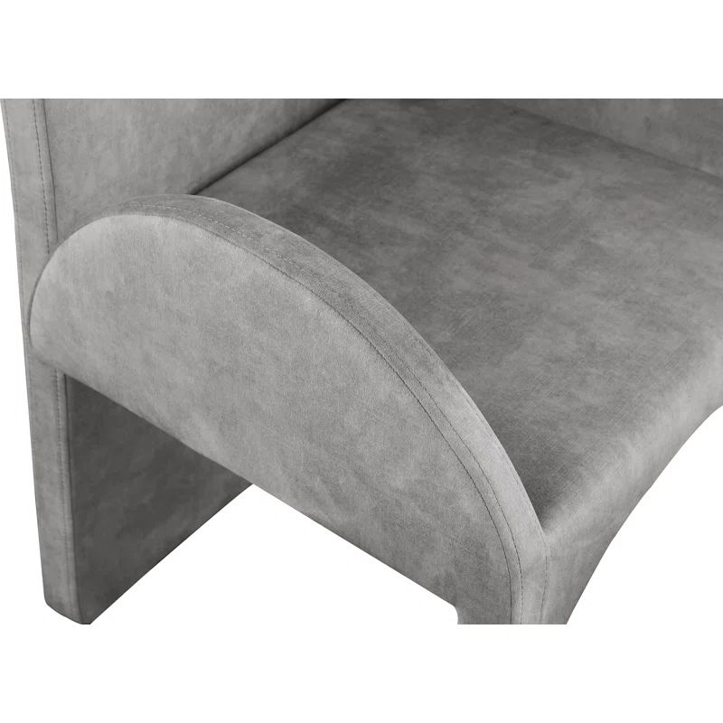 Caserta Velvet Upholstered Solid Back Arm Chair (Set of 2) | Wayfair North America
