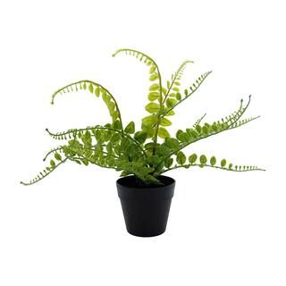 11" Potted Green Fern By Ashland® | Michaels Stores