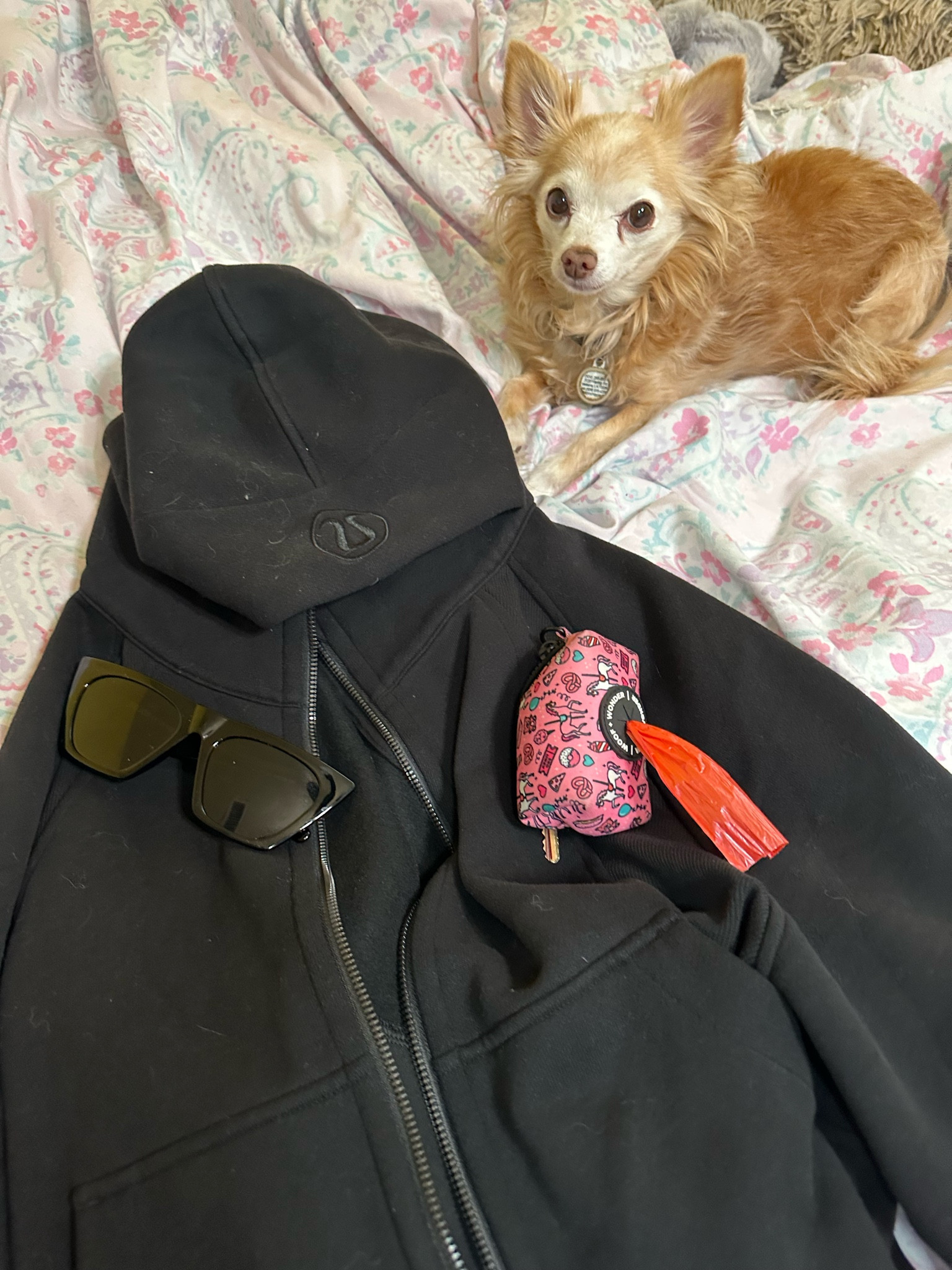This jacket keeps me warm during our dog walks! #lululemon

#LTKGiftGuide #LTKSeasonal #LTKfamily