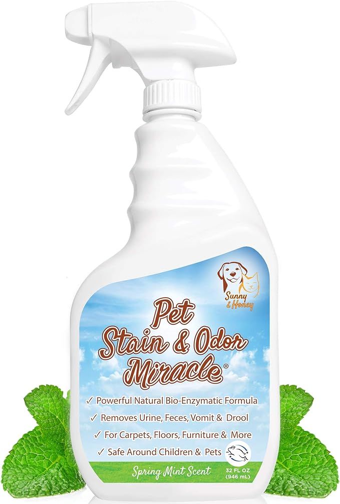 Pet Stain & Odor Miracle - The Best Enzyme Cleaner for Dog Urine Cat Pee Feces Vomit, Enzymatic S... | Amazon (US)