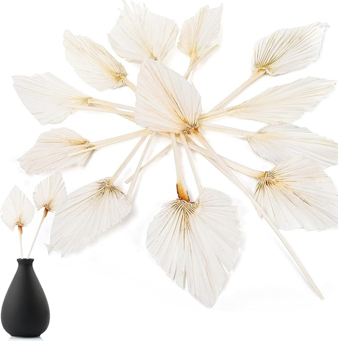 AVLA 12 Pack Boho Dried Palm Leaves, Tropical Leaf Decor with Stem, Natural Dried Palm Fans Spear... | Amazon (US)