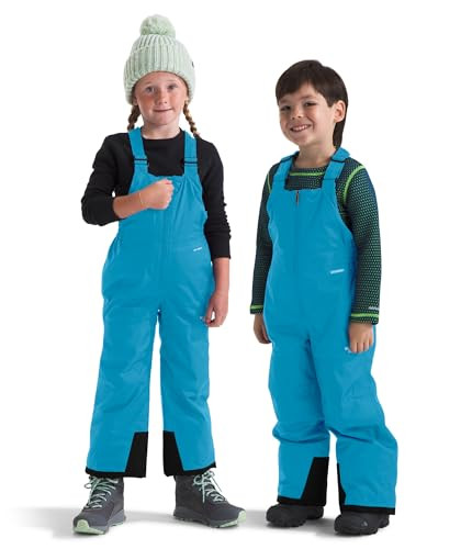 The North Face Kids' Freedom Snow Suit | Waterproof & Insulated Ski Suit, Ankle Gaiters, Zippered Hand Pockets, Hidden Pass Pocket on Sleeve, Meridian Blue, 2 | Amazon (US)