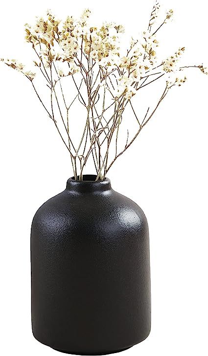 Ceramic Vase for Home Decor,Ceramic Vase, Dried Flower Vase, Living Room Decoration, Flower Arran... | Amazon (US)