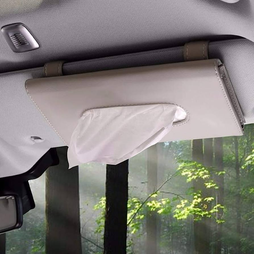 SEMBEM Car Tissues Holder for Car, Visor Tissue Holder, Car Tissue Box, Car Disposable Masks Hold... | Amazon (US)