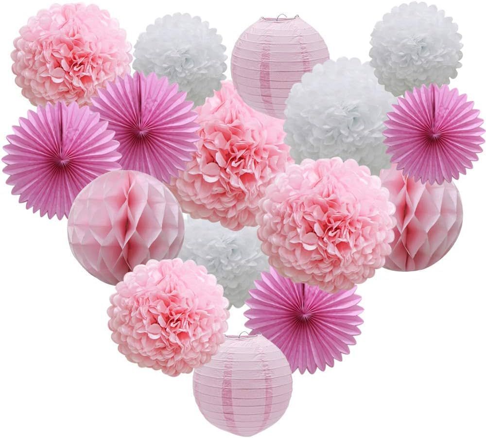 16pcs Pink Party Decorations Paper Pom Poms Honeycomb Balls Lanterns Tissue Fans for Birthday Wed... | Amazon (US)