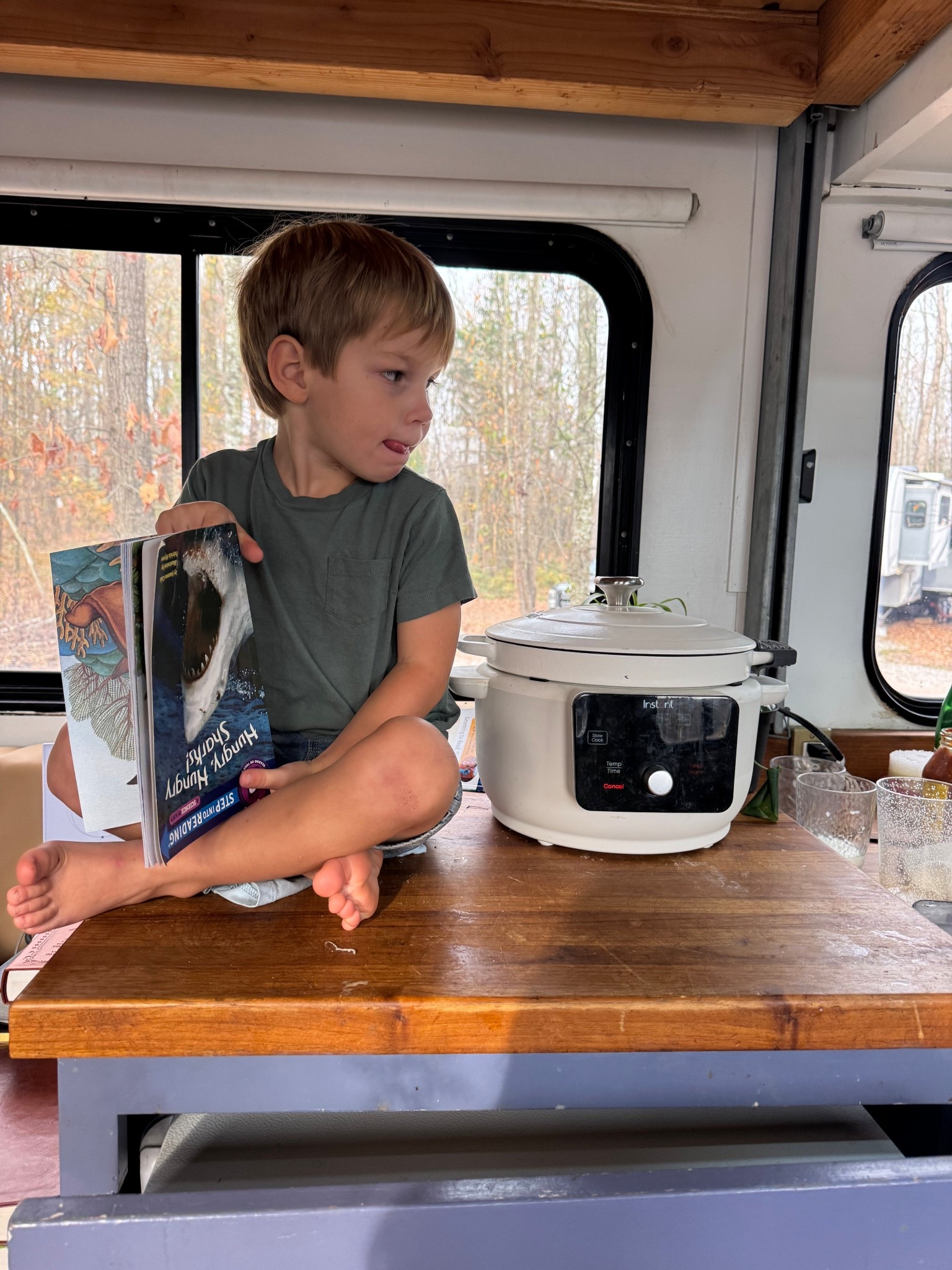 My Instant Pot Dutch Oven is basically the secret weapon of feeding a big family without losing my mind. 😂 Slow cooker, braiser, roaster — it does all the things. If you want one pot that actually earns its spot in your kitchen, this is it.

One thing I love about this Dutch oven? It’s a clean cooking pot — no questionable coatings, no chemicals, nothing leaching into your food. Just real ingredients cooked in a real, healthy pot. Your food tastes better, your kitchen stays safer, and your body gets the win.

#LTKmomlife #LTKfoodie